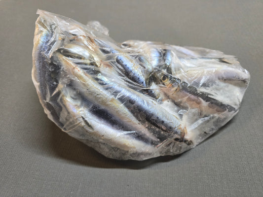 Sardines (Port Lincoln) 15kg Box $139