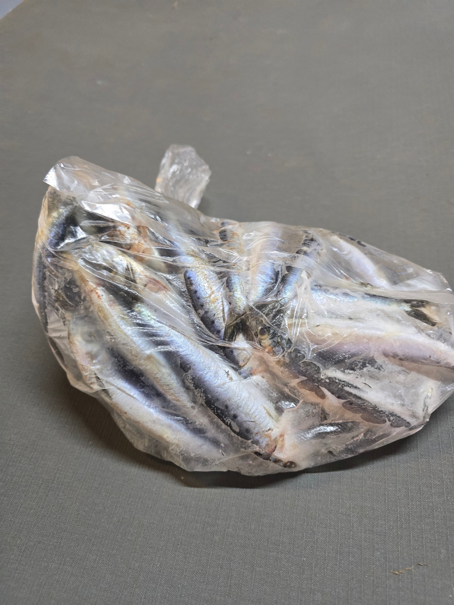 Sardines (Port Lincoln)